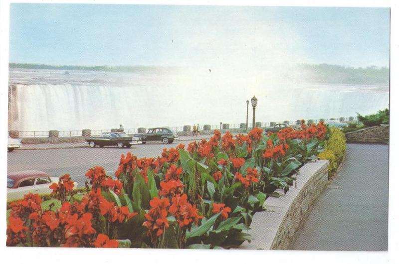 Canada Ontario Niagara Falls Horseshoe Falls