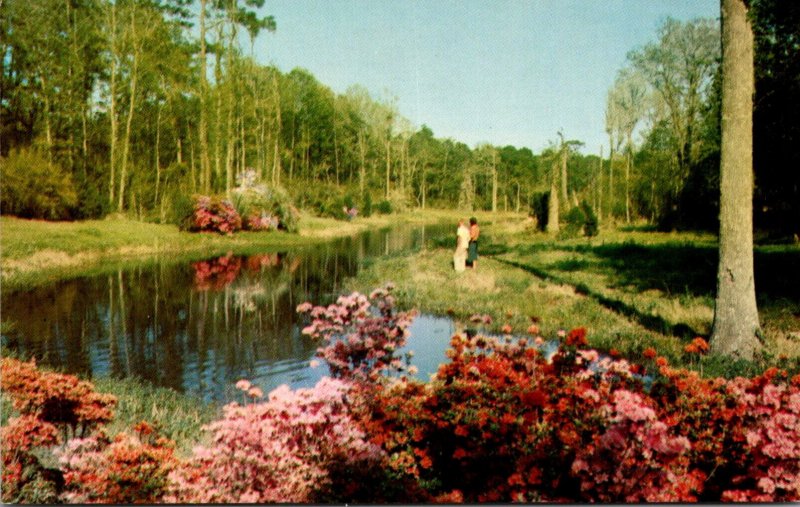 Mississippi Biloxi Jefferson Davis Shrine Lagoon At Beauvoir