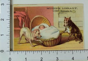 Victorian Trade Card Mudie's Library Two Adorable Dogs Rocking Sleeping Baby F66