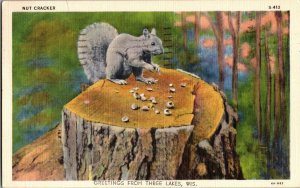 Squirrel Eating Nuts on Stump, Greetings From Three Lakes WI c1941 Postcard G60