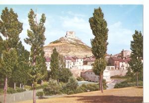 Postal 045569 : Peñafiel (Valladolid). Vista parcial y castillo