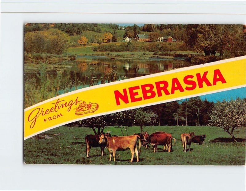 Postcard Greetings From Nebraska