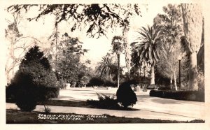 Vintage Postcard Real Photo High School Grounds Redwood City California CA RPPC