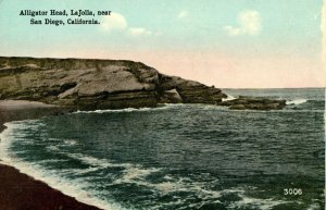 C.1920 Alligator Head LaJolla Beach Breakers, CA Postcard P186