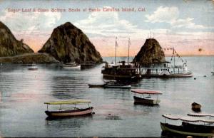 Sugar Loaf & Glass Bottom Boats Santa Catalina Island c1909 Vintage Postcard F21