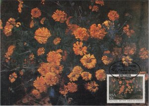 Flowers Postcard - Flower Stamp, Pretoria, South Africa  RR15723