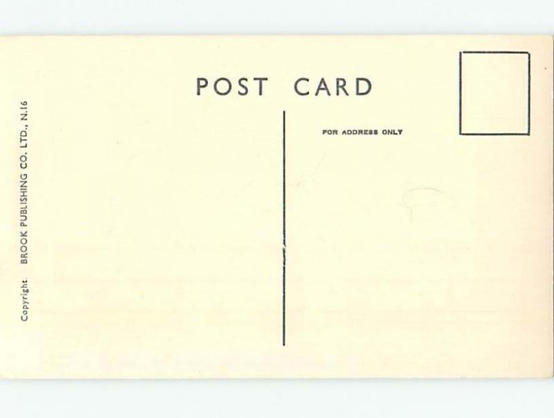 Bamforth risque signed MAN IN BED WITH FIVE GIRLS HL3125