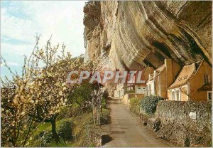 Modern Postcard Les Eyzies (Dordogne) Laugerie Lower Houses Troglodytes on th...