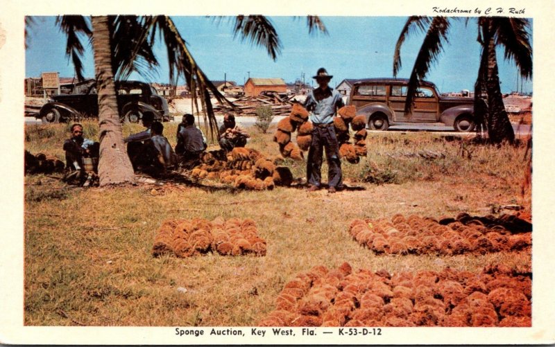 Florida Key West Sponge Auction Dexter Press