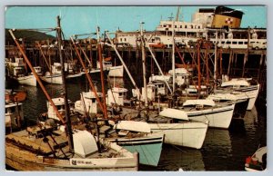 Digby Scallop Fleet, Nova Scotia, Fishing Boats, Vintage 1971 Chrome Postcard