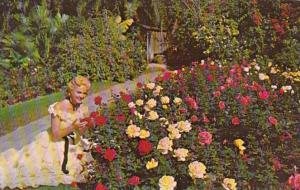 Florida Cypress Gardens Beautiful Girl In The Rose Garden