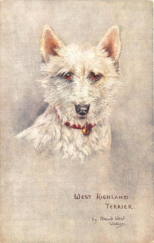 Raphael Tuck Signed Maude West Watson West Highland Terrier Postcard