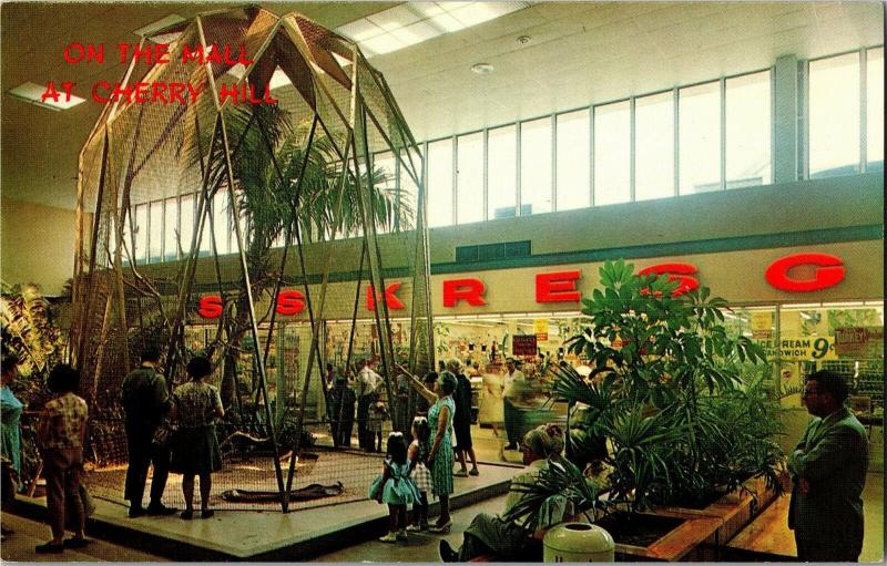 Cherry Hill Shopping Center NJ SS Kresge, Sculpture Vintage Postcard O27