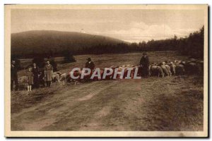 Postcard Old Party na Radhosti Shepherd Sheep