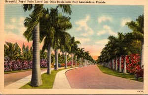 Florida Fort Lauderdale Beautiful Royal Palm Lined Las Olas Boulevard