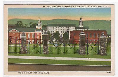 Williamsport Dickinson Junior College Williamsport Pennsylvania postcard