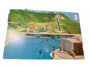 Postcard Continental View of Ocean Park, Aberdeen, Hong Kong, China.  P4