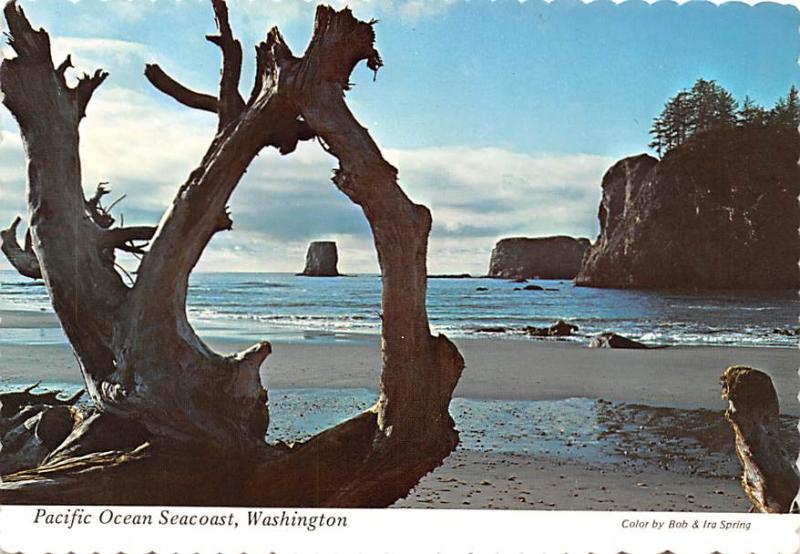 Pacific Ocean Seacoast - Washington