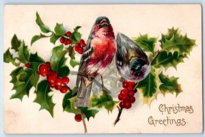 Christmas Postcard Greetings Birds On Holly Berries Nash Kerhonkson NY 1907