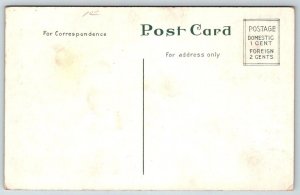 Ice Bridge  Niagara Falls  New York   Postcard  c1915