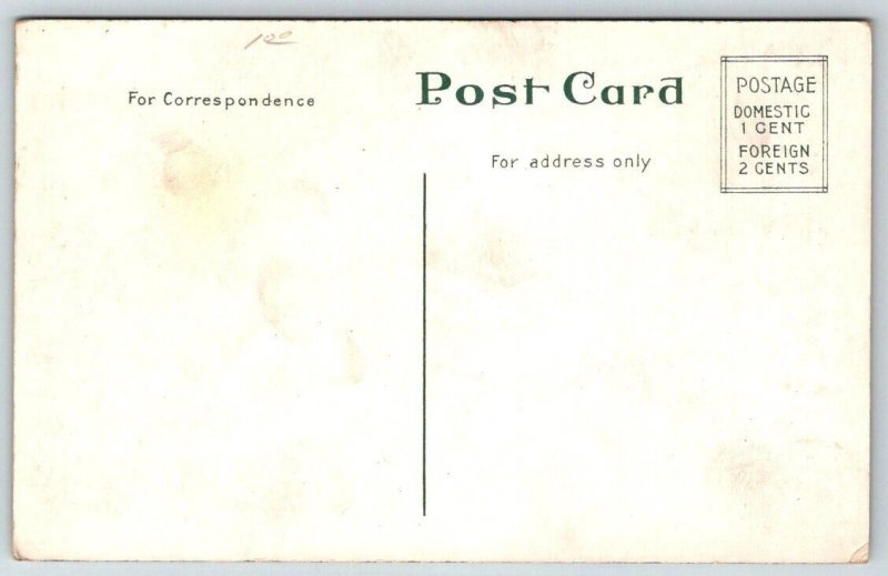 Ice Bridge  Niagara Falls  New York   Postcard  c1915