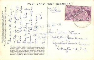 Bermuda Aquarium Bermuda Postcard
