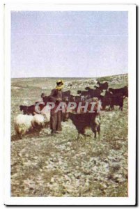 Image Chocolates Suchard Lot went taking his flock