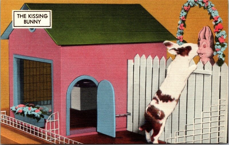 Linen Postcard The Kissing Bunny at the I.Q. Zoo in Hot Springs, Arkansas