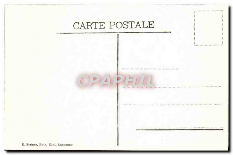 Old Postcard On The Mountain Cows