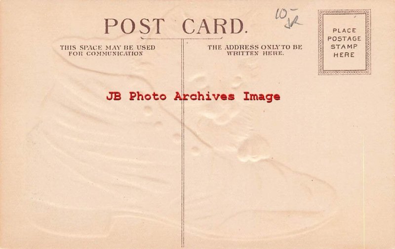 Beautiful Cat Climbing inside Old Brown Shoe