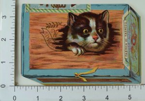 Die-Cut Cigar Box With Adorable Kitten Traugott & Goldman No.3 #A