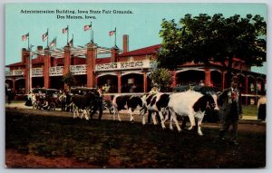 Des Moines Iowa~Prize Winning Cattle~Administration Bldg~State Fair Grounds~1910