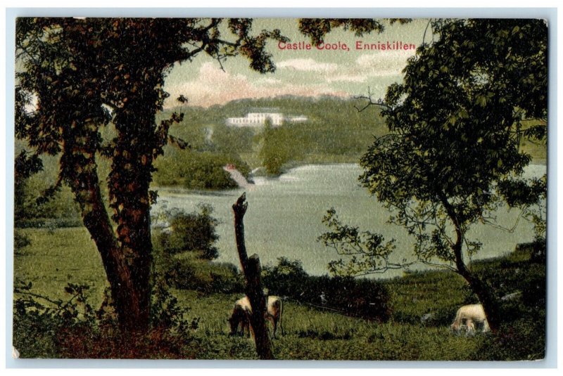 1907 Castle Coole Enniskillen Northern Ireland Antique Posted Postcard