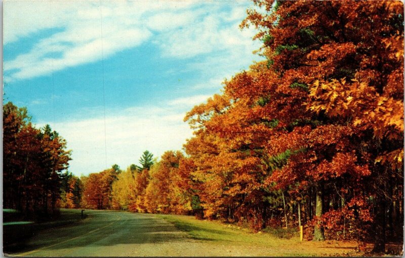 Magnificent Autumn Scene Old Country Rd Postcard VTG UNP Dexter Vintage Unused 