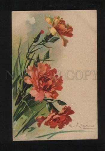 052497 Charming CARNATIONS by C. KLEIN vintage PFB Publ. pc