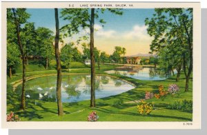 Salem, Virginia/VA Postcard, Lake Spring Park