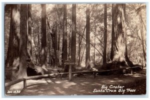 c1940's Big Crater Santa Cruz Big Trees Dirt Road Vintage RPPC Photo Postcard