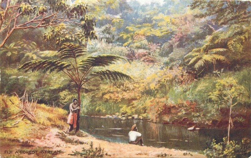 Raphael Tuck series FIJI landscapes & local motifs ethnic life postcards lot