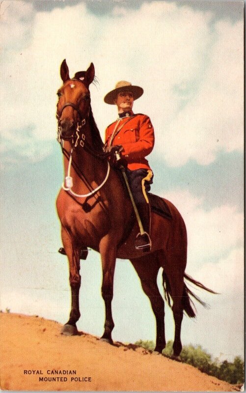 Royal Canadian Mounted Police Horse Uniform Portrait UNP VTG Postcard