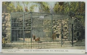 Milwaukee Wis Foxes at Washington Park Zoo 1913 to Omena Mich Postcard K16