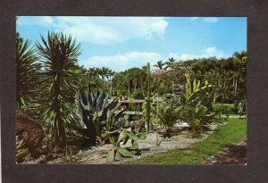 FL Cactus Gardens Sarasota Jungle Florida Postcard Plants Botany PC