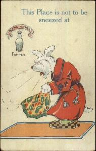 Fantasy - Rabbit in Bathrobe Sneezing PEPPER c1910 Postcard