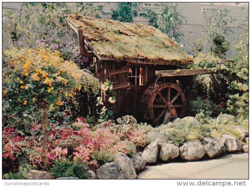 Canada British Columbia Vancouver Queen Elizabeth Park Bloedel Conservatory M...