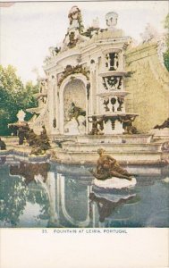 Portugal Fountain At Leiria