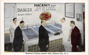 Hackney's Famous Lobster Pool Atlantic City, New Jersey Postcard