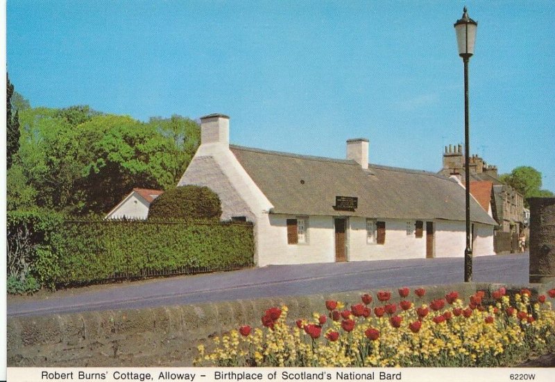 Scotland Postcard - Robert Burns' Cottage - Alloway - Birthplace   AB415