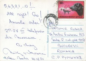 Mongolia postcard dogs topical franking stamp 1978