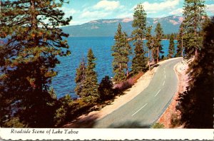 California Lake Tahoe Roadside Scene