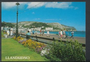 Wales Postcard - Promenade and Great Orme, Llandudno RR5178