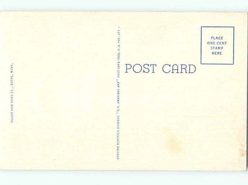 Unused Linen PARK SCENE Butte Montana MT hk6475